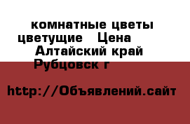 комнатные цветы цветущие › Цена ­ 80 - Алтайский край, Рубцовск г.  »    